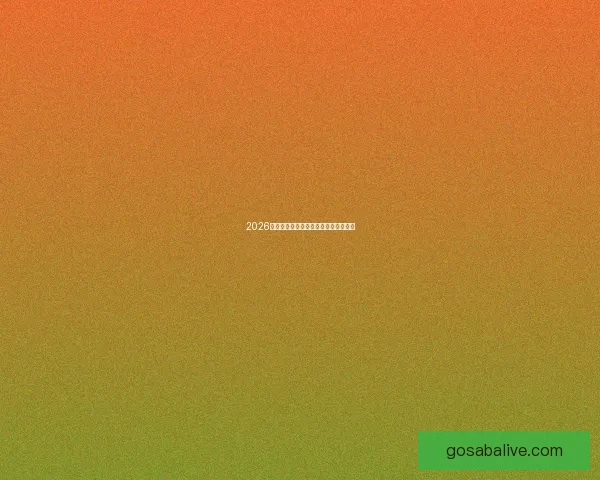 2026世界杯焦点球星盘点与赛场风云全解析