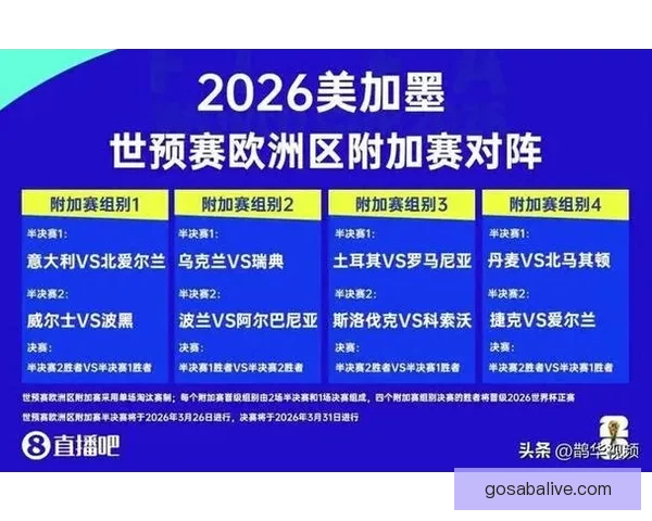 2026世界杯实时比分更新：各大赛场精彩对决，冠军之路逐渐明朗